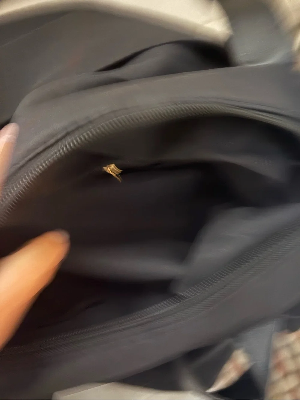 {NEW} Women's Fashion Black Kitty Travel Bag Black